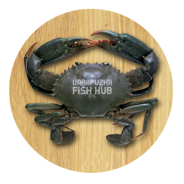 Crab (Njandu)-Large – Varapuzha Fish Hub